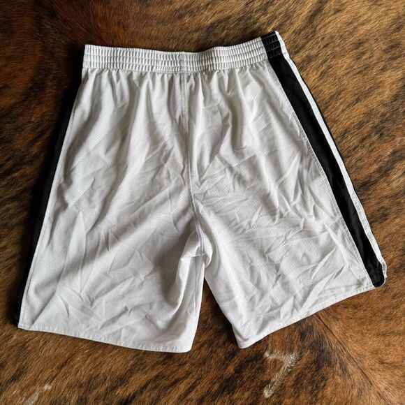 Nike Vitnage Y2K Silky Mesh Dazzle Side Stripe Basketball Shorts Size L - Picture 2 of 6